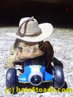 /home//u458753944/public_html/sourcegallery//Roxborough Toad Detour/2022/2022-04-14 and 04-13/P4141022.JPG